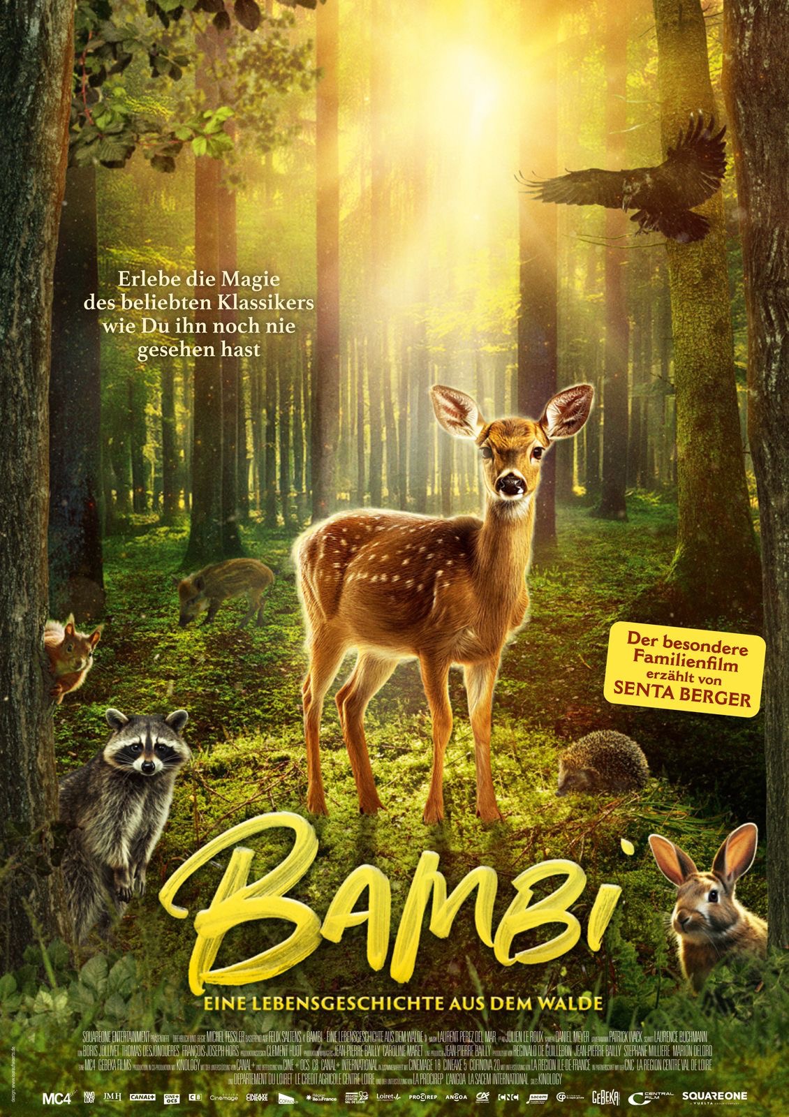 BAMBI Bild