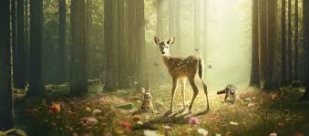 BAMBI Bild
